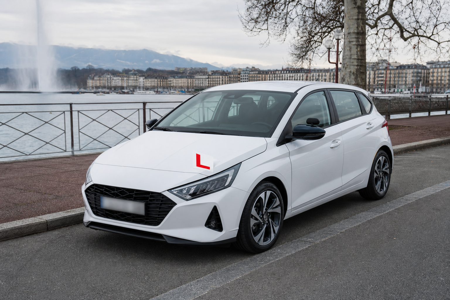 Permis B121 TPP à Genève, transport professionnel de personnes
